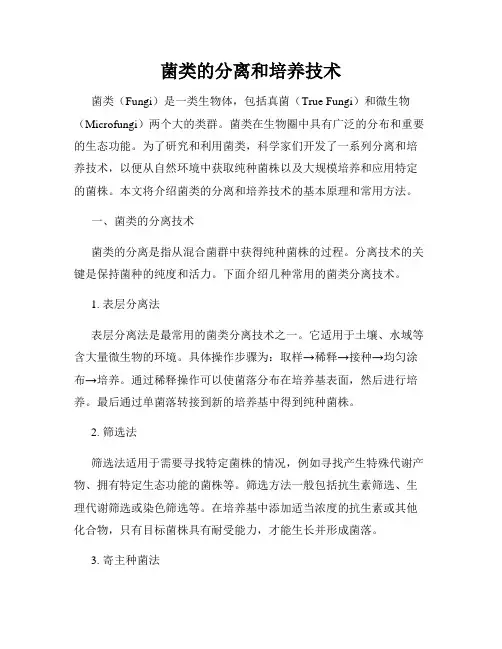 菌类的分离和培养技术