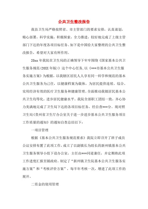 2019年公共卫生整改报告