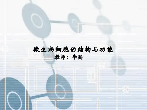 第三章微生物细胞的结构与功能(沈萍版)