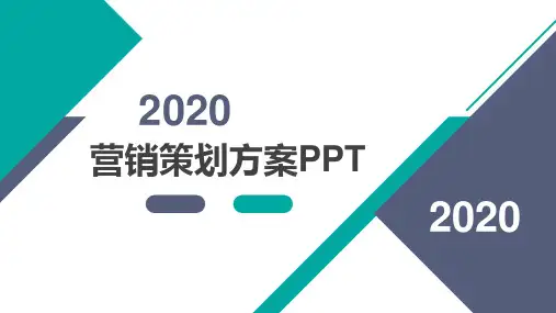牛肉干市场营销策划PPT