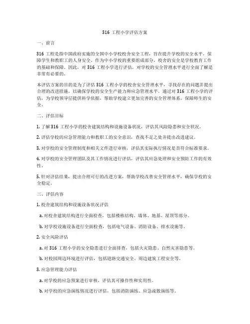 316工程小学评估方案
