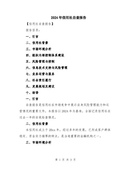 2024年信用社自查报告