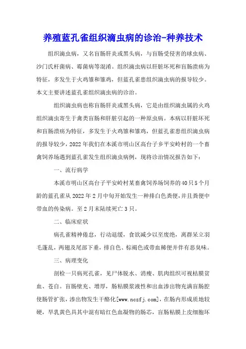 养殖蓝孔雀组织滴虫病的诊治 - 种养技术