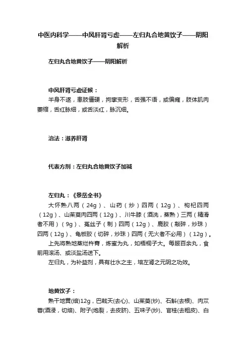 中医内科学——中风肝肾亏虚——左归丸合地黄饮子——阴阳解析