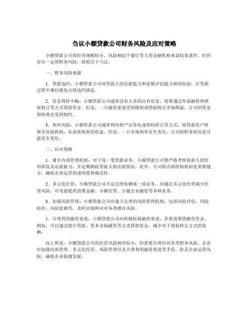 刍议小额贷款公司财务风险及应对策略