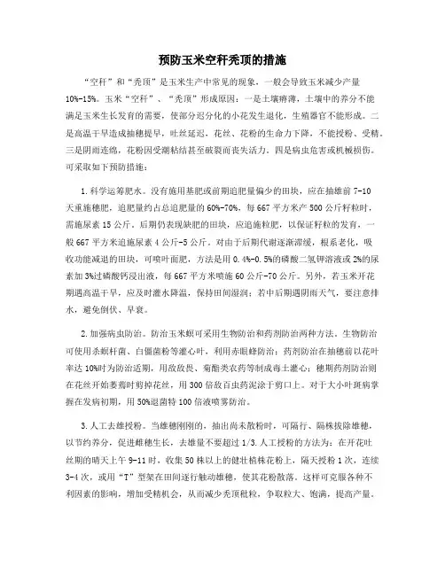 预防玉米空秆秃顶的措施