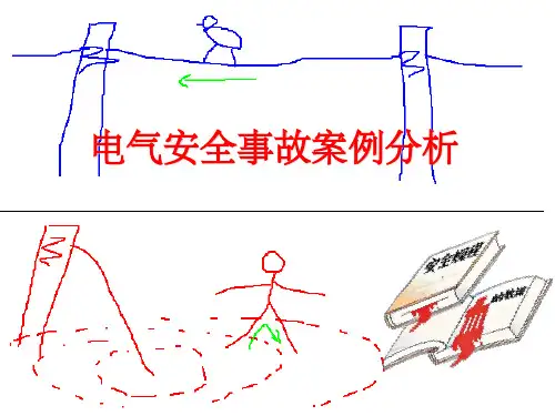 电气安全事故案例分析ppt课件