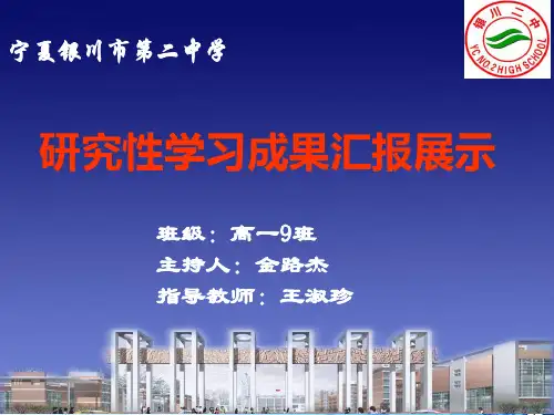 研究性学习汇报展示