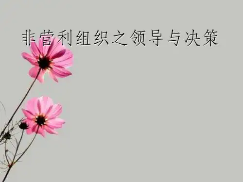 非营利组织之领导和决策