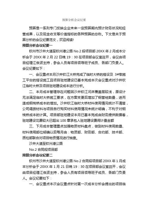 预算分析会议纪要_会议纪要_