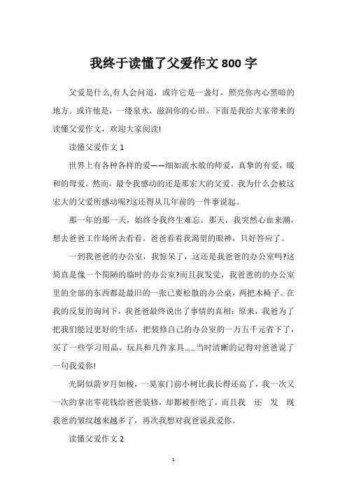我终于读懂了父爱作文800字