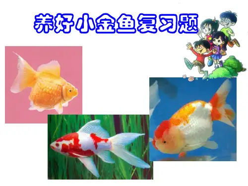 (三)(金鱼单元)复习题