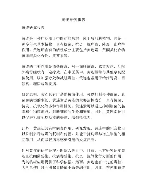 黄连 研究报告