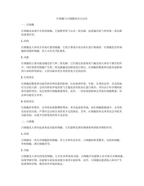 红细胞与白细胞知识点总结