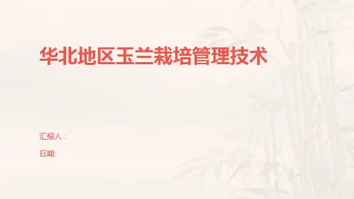华北地区玉兰栽培管理技术
