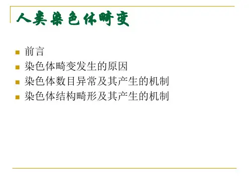人类染色体畸变ppt课件