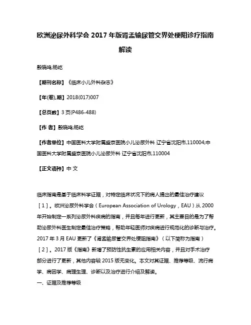 欧洲泌尿外科学会2017年版肾盂输尿管交界处梗阻诊疗指南解读