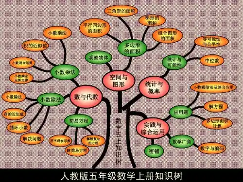 人教版五年级上册数学总复习【知识树】【期末总结】