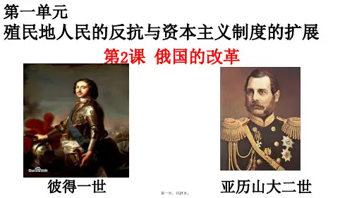 (部编版)九年级俄国的改革完美课件