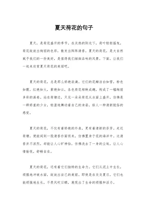 夏天荷花的句子