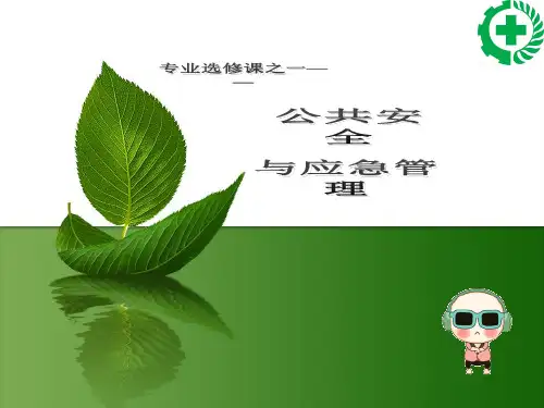 第讲公共安全与应急管理绪论.pptx