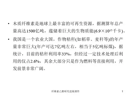 纤维素乙醇研究进展课件