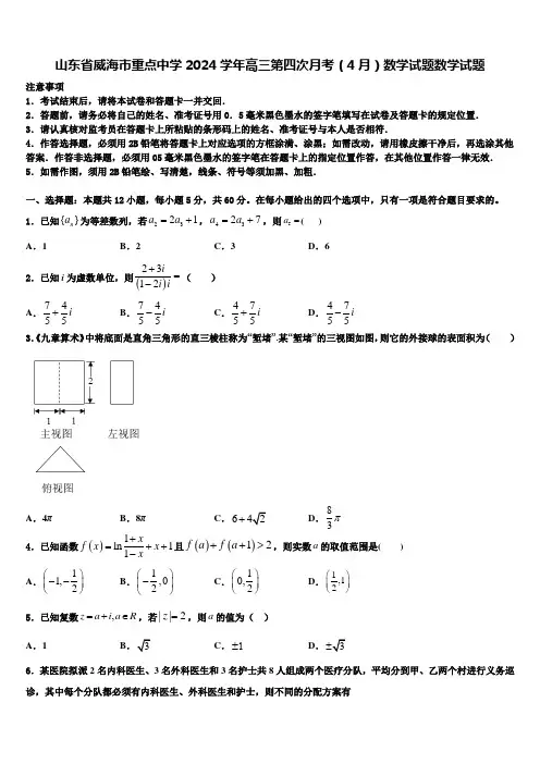 山东省威海市重点中学2024学年高三第四次月考(4月)数学试题数学试题