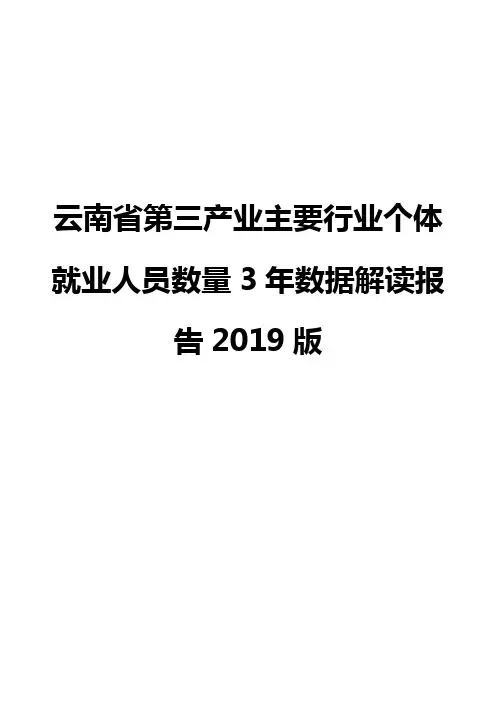 云南省第三产业主要行业个体就业人员数量3年数据解读报告2019版