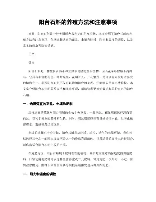 阳台石斛的养殖方法和注意事项