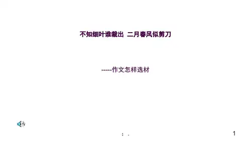 怎样选材(优秀)ppt课件