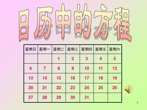 53日历中的方程(好的)PPT课件