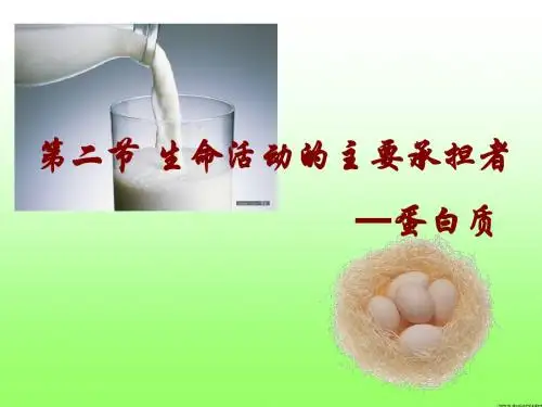 2.2.3生命活动的主要承担者蛋白质