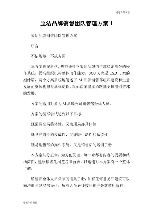 宝洁品牌销售团队管理方案.doc