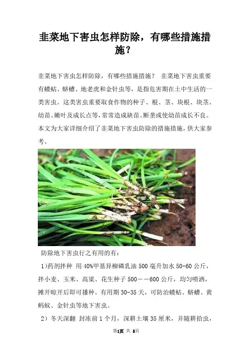韭菜地下害虫怎样防除，有哪些措施措施？