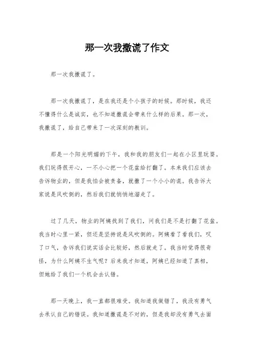 那一次我撒谎了作文