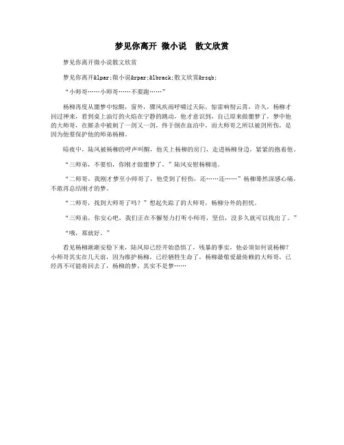 梦见你离开 微小说 散文欣赏