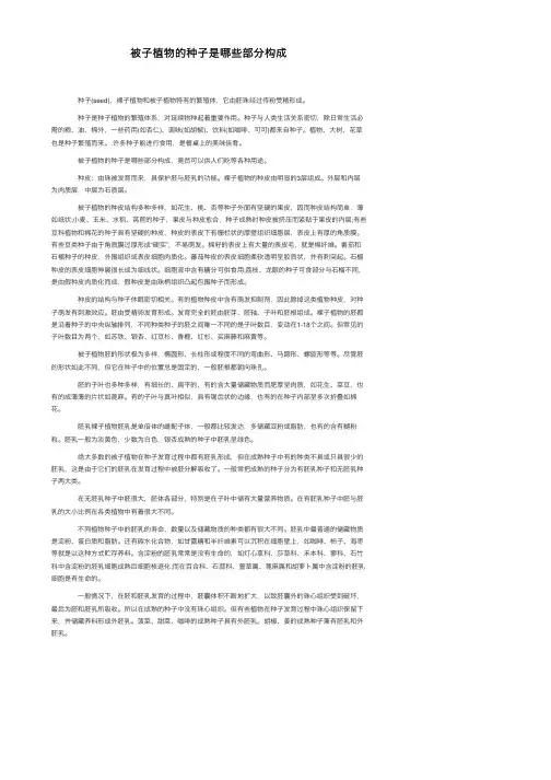 被子植物的种子是哪些部分构成