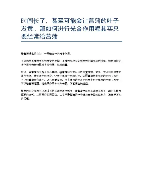 时间长了,甚至可能会让菖蒲的叶子发黄。那如何进行光合作用呢其实只要经常给菖蒲