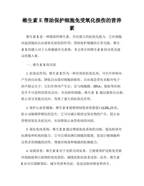 维生素E帮助保护细胞免受氧化损伤的营养素