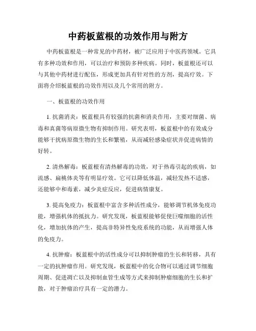 中药板蓝根的功效作用与附方