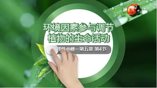 5.4节环境因素参与调节植物的生命活动课件高二上学期生物人教版选择性必修1