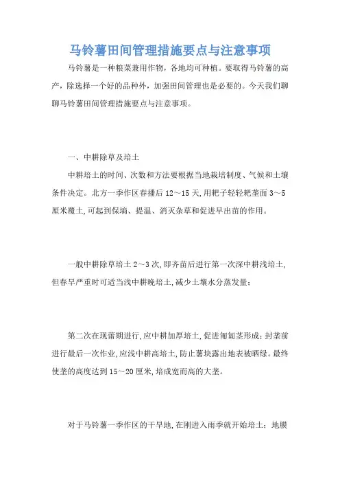 马铃薯田间管理措施要点与注意事项