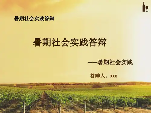 暑期社会实践答辩 ppt课件