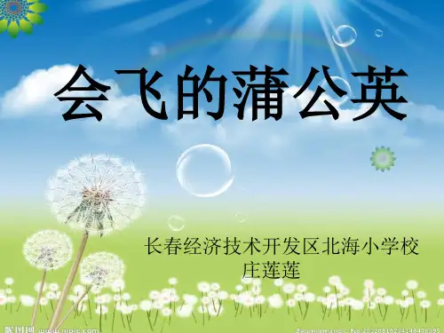 会飞的蒲公英