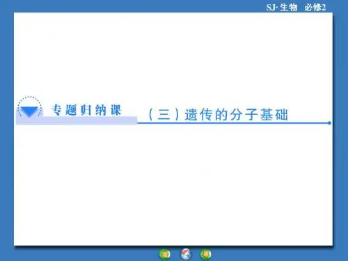 高中生物(苏教版)必修2课件：专题归纳课3遗传的分子基础(共48张PPT)