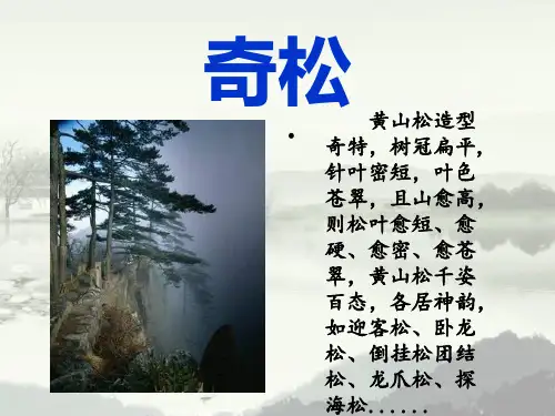 黄山奇石(共13张PPT)