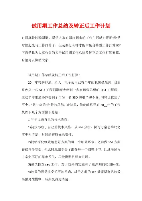 试用期工作总结及转正后工作计划