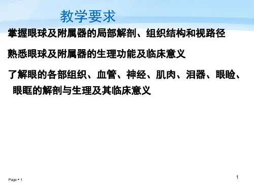 高职眼科学解剖学基础课件.ppt
