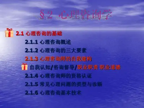 心理咨询师的自我建构ppt课件