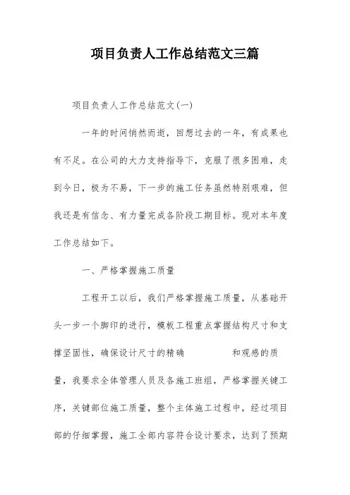 项目负责人工作总结范文三篇
